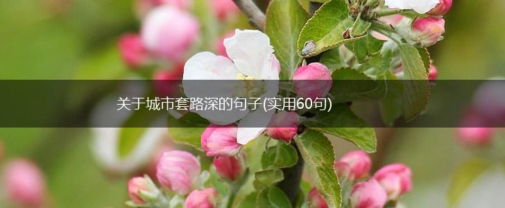 关于城市套路深的句子(实用60句),第1张