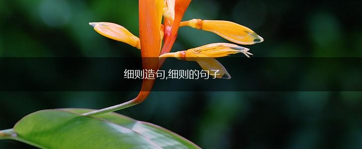 细则造句,细则的句子,第1张