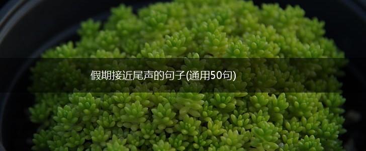 假期接近尾声的句子(通用50句),第1张