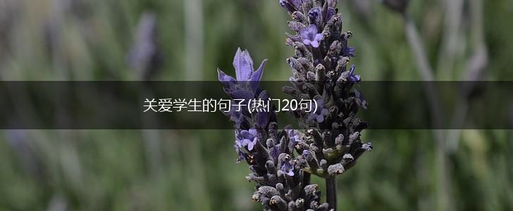 关爱学生的句子(热门20句),第1张