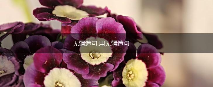 无疆造句,用无疆造句,第1张