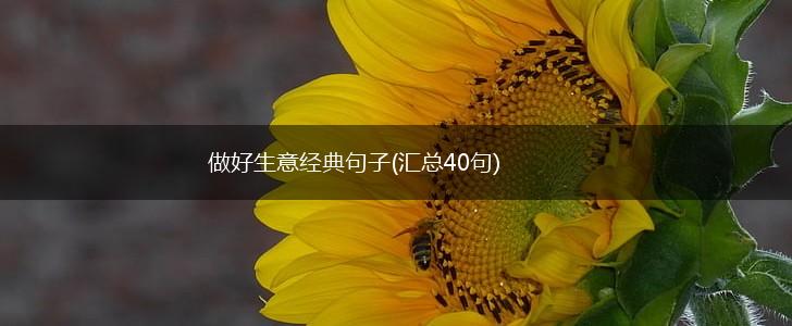 做好生意经典句子(汇总40句),第1张