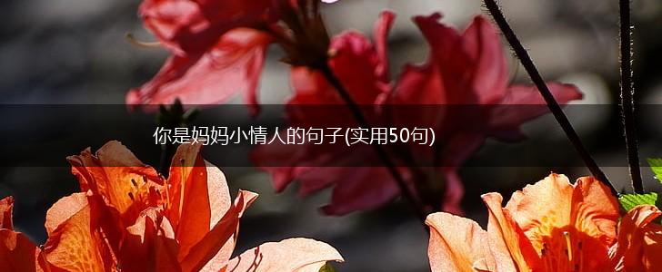 你是妈妈小情人的句子(实用50句),第1张