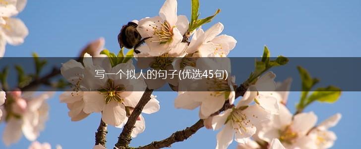 写一个拟人的句子(优选45句),第1张