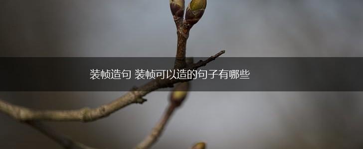 装帧造句 装帧可以造的句子有哪些,第1张