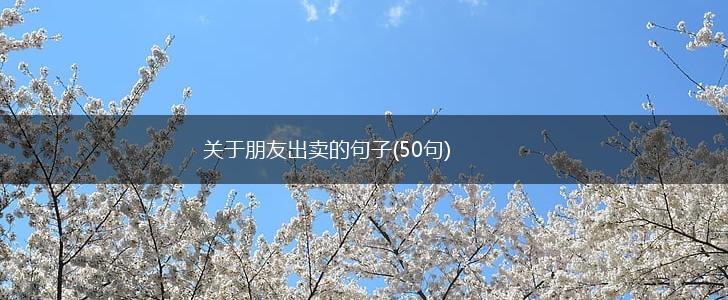 关于朋友出卖的句子(50句),第1张