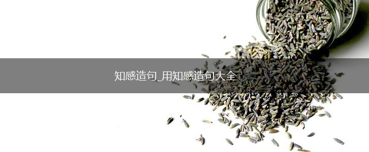 知感造句_用知感造句大全,第1张