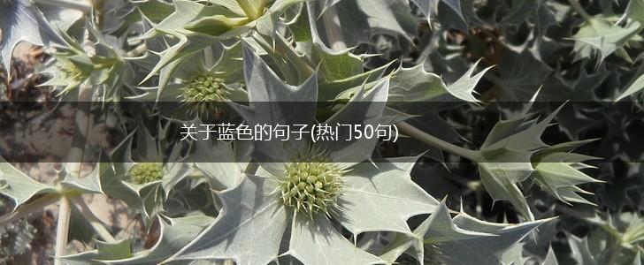 关于蓝色的句子(热门50句),第1张