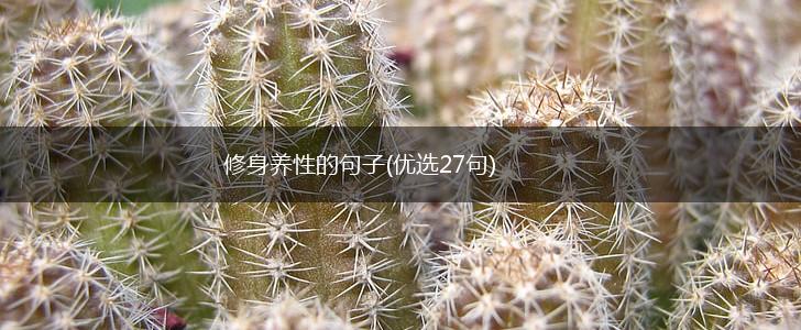 修身养性的句子(优选27句),第1张