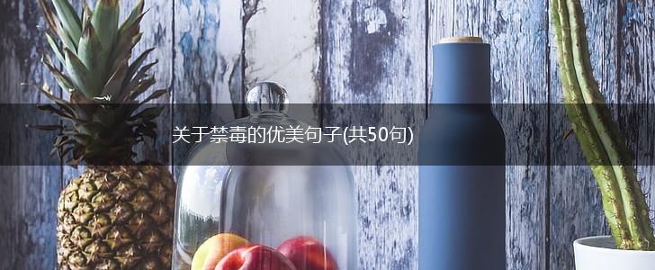 关于禁毒的优美句子(共50句),第1张