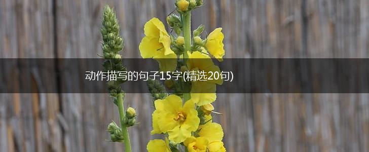 动作描写的句子15字(精选20句),第1张