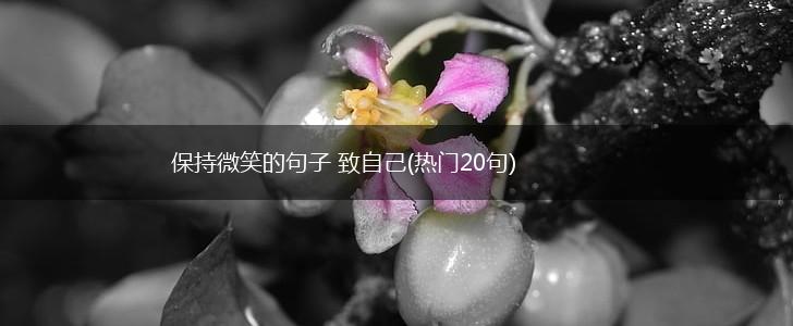 保持微笑的句子 致自己(热门20句),第1张