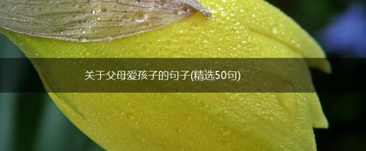 关于父母爱孩子的句子(精选50句),第1张