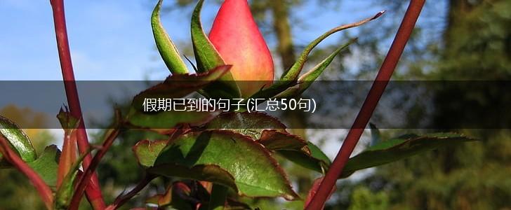 假期已到的句子(汇总50句),第1张