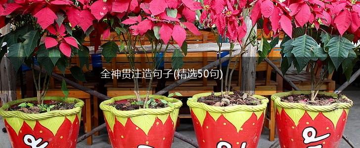 全神贯注造句子(精选50句),第1张