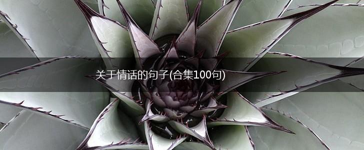 关于情话的句子(合集100句),第1张