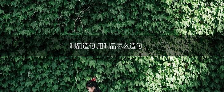 制品造句,用制品怎么造句,第1张