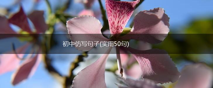 初中仿写句子(实用50句),第1张
