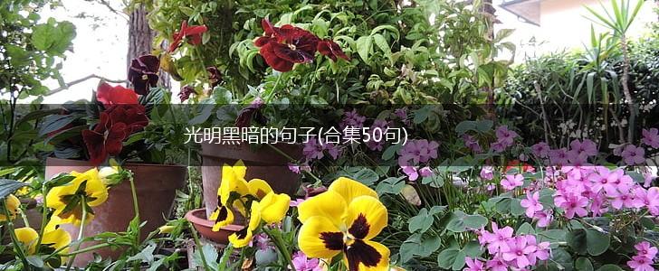 光明黑暗的句子(合集50句),第1张