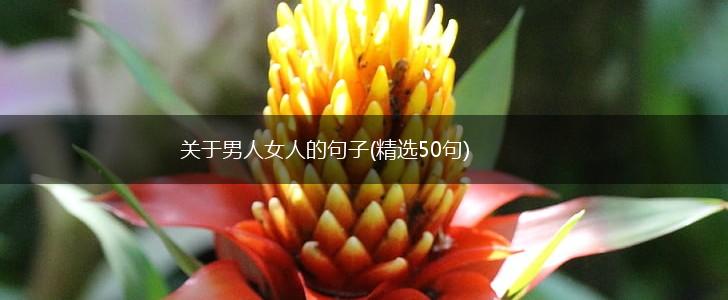 关于男人女人的句子(精选50句),第1张