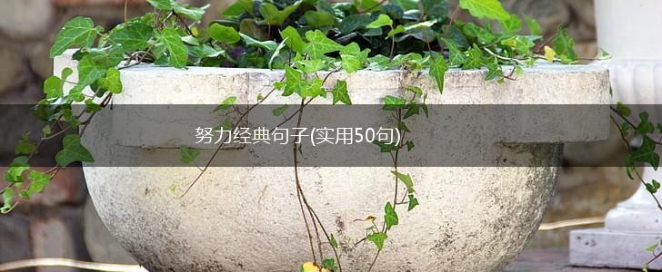 努力经典句子(实用50句),第1张