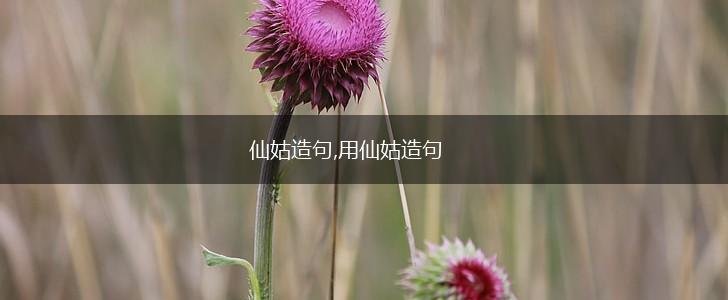 仙姑造句,用仙姑造句,第1张
