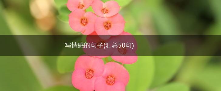 写情感的句子(汇总50句),第1张