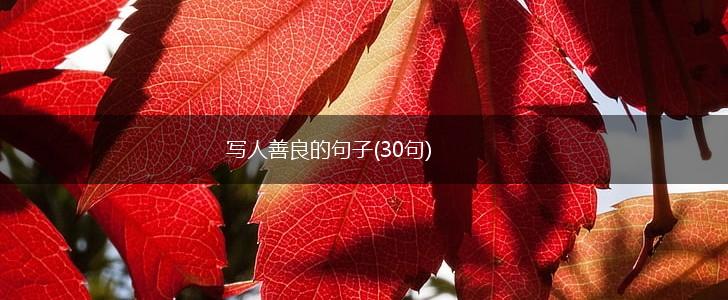 写人善良的句子(30句),第1张