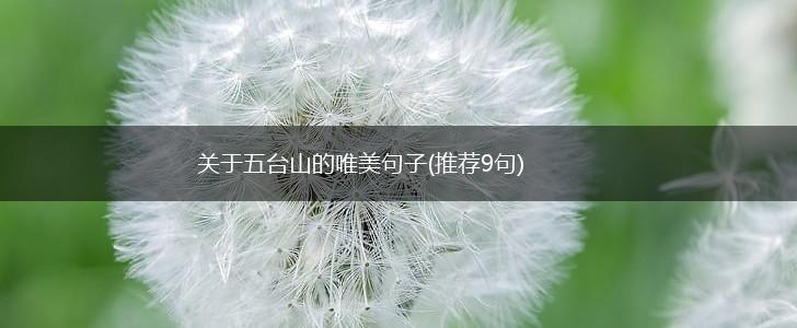 关于五台山的唯美句子(推荐9句),第1张