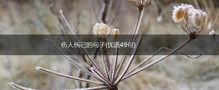 伤人伤己的句子(优选49句),第1张