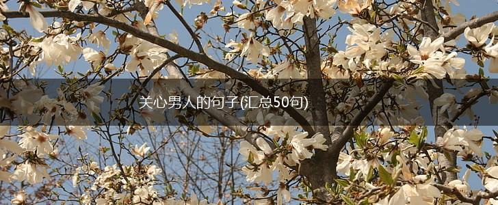 关心男人的句子(汇总50句),第1张