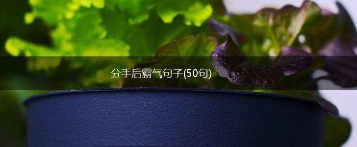 分手后霸气句子(50句),第1张