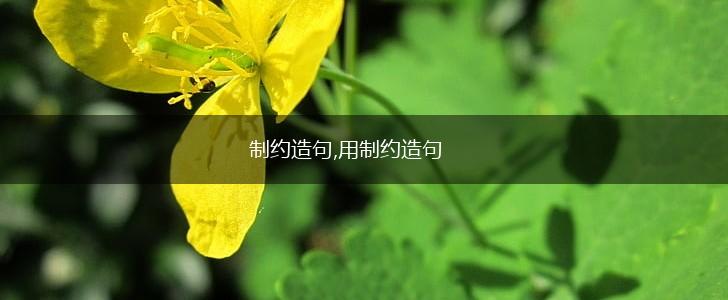 制约造句,用制约造句,第1张