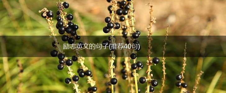 励志英文的句子(推荐40句),第1张
