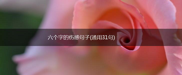 六个字的伤感句子(通用31句),第1张
