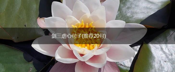 剑三虐心句子(推荐20句),第1张