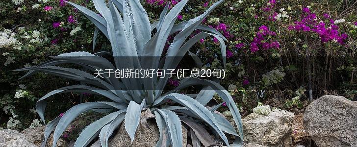 关于创新的好句子(汇总20句),第1张