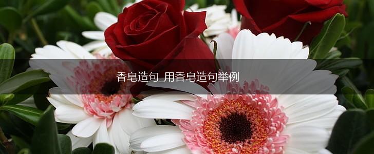 香皂造句_用香皂造句举例,第1张