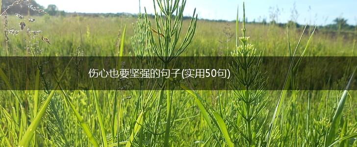 伤心也要坚强的句子(实用50句),第1张
