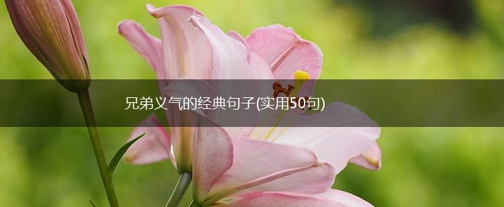 兄弟义气的经典句子(实用50句),第1张