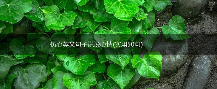 伤心英文句子说说心情(实用50句),第1张