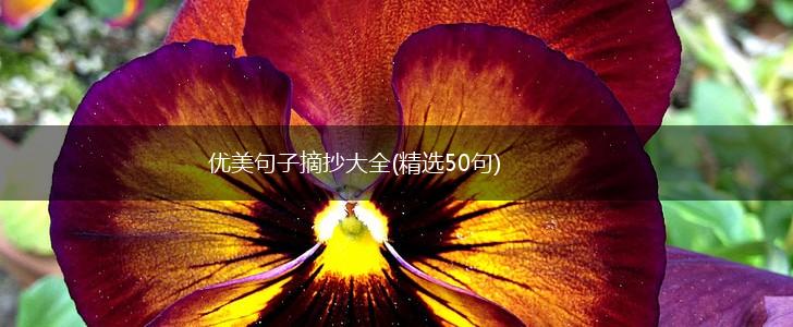 优美句子摘抄大全(精选50句),第1张