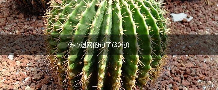 伤心退网的句子(30句),第1张