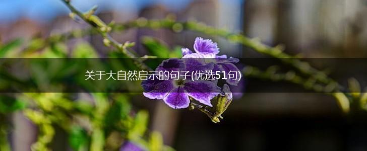关于大自然启示的句子(优选51句),第1张