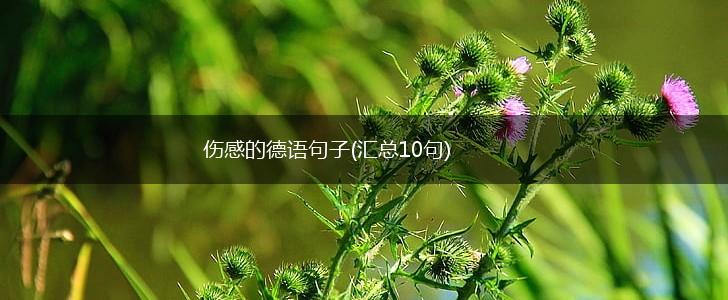 伤感的德语句子(汇总10句),第1张