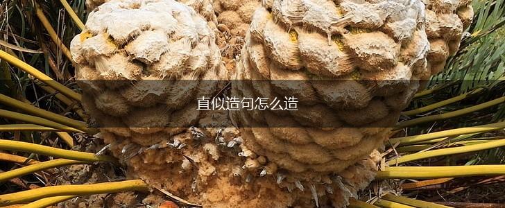 直似造句怎么造,第1张