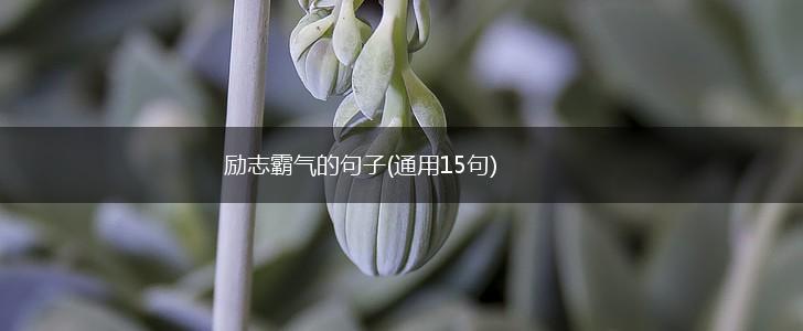 励志霸气的句子(通用15句),第1张