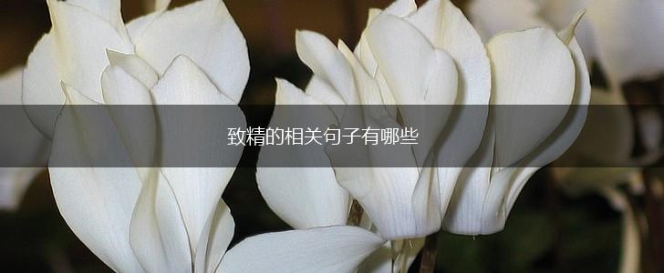致精的相关句子有哪些,第1张