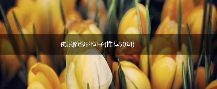 佛说随缘的句子(推荐50句),第1张