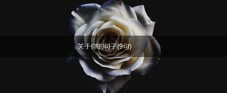 关于你的句子(9句),第1张